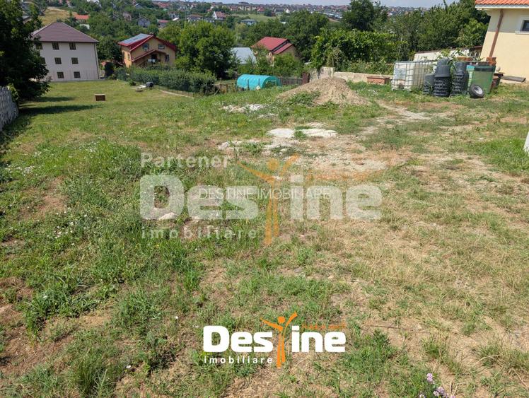 Teren Intravilan 3300 mp Tudor Neculai - CUG, Utilități, Deschidere Stradală - 6