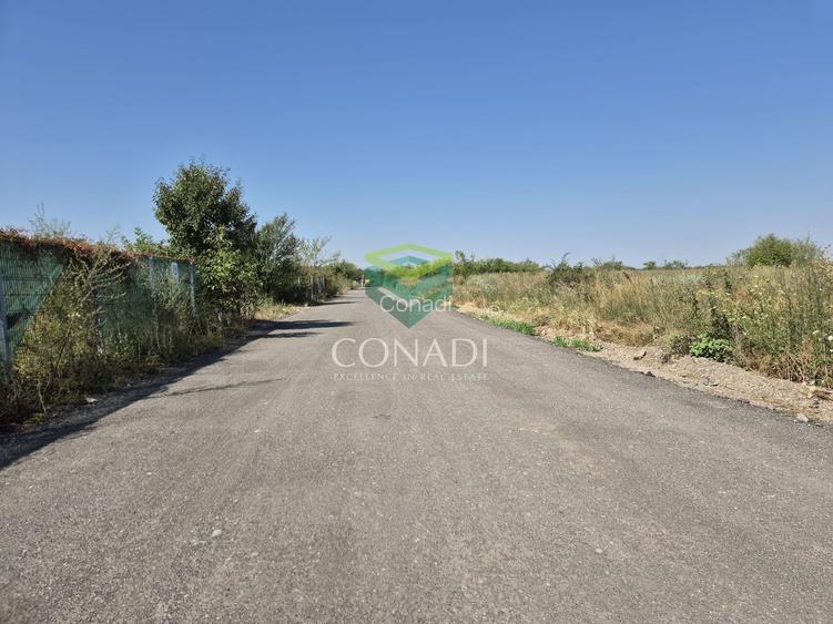 Teren de vanzare cu autorizatie pentru 2 hale - Otopeni - 10.000 mp - 14