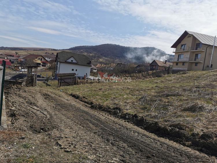 Teren intravilan , cu proiect pentru casa in Dej - 14