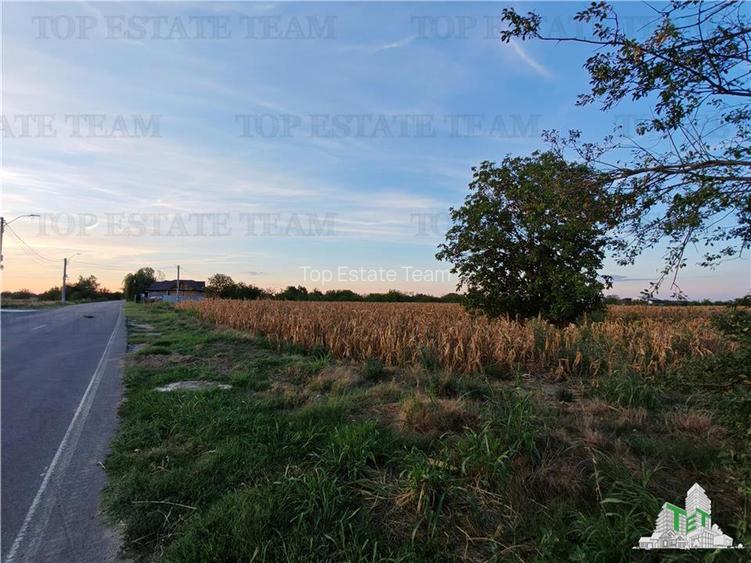 Teren intravilan pentru constructii stradal, 2965 mp, cu toate utilitatile si de - 4