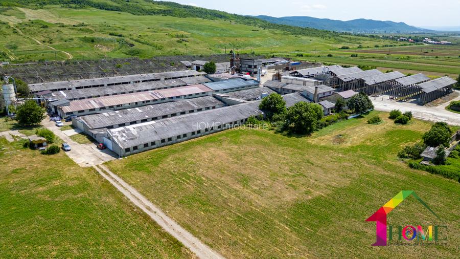Teren 100.000 mp + Spatii Industriale Bacau - 16