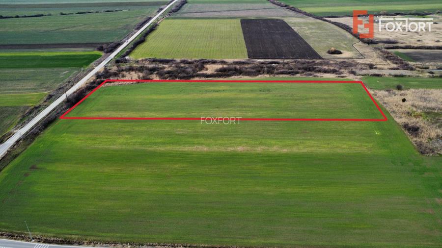 Teren industrial de vanzare de 25.000 mp, zona Deta - 3