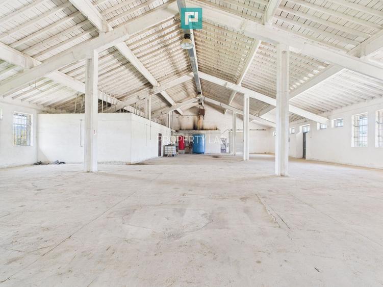 Hale 1800 mp fiecare – acces autostradă, Teiu, HD - 3