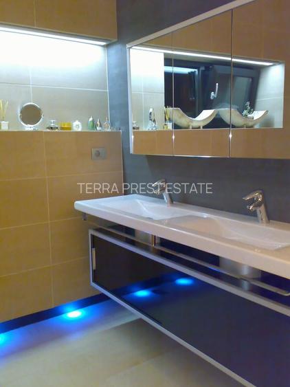 Oportunitate de Investitie cu Chirias, Tunari, Ilfov - 9