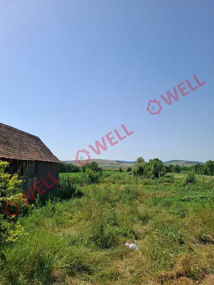 DE VÂNZARE TEREN INTRAVILAN ÎN BĂLĂUȘERI
