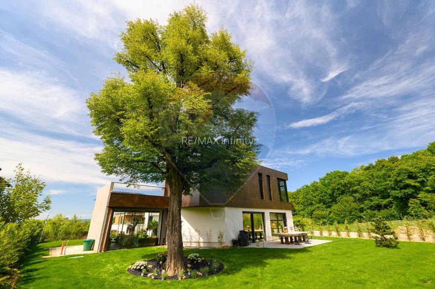 Proprietate spectaculoasă și unică de vânzare în Cluj-Napoca - 5