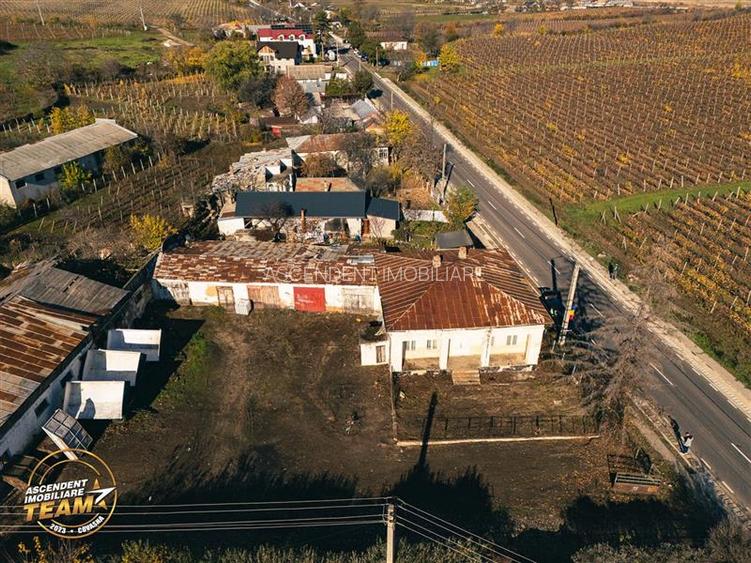 FILM! Casa boieresca autentica,domeniu de 4.000 mp intravilan,in podgoriile Odob - 2