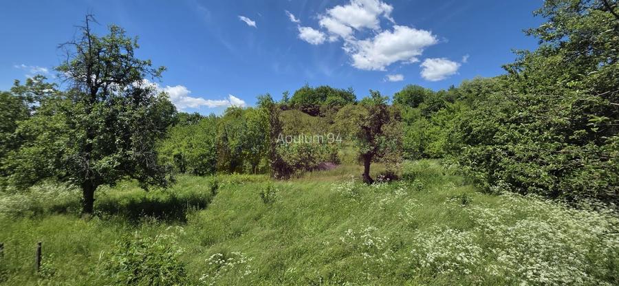Vila de vanzare in Breaza-Nistoresti cu 7068 mp - 54