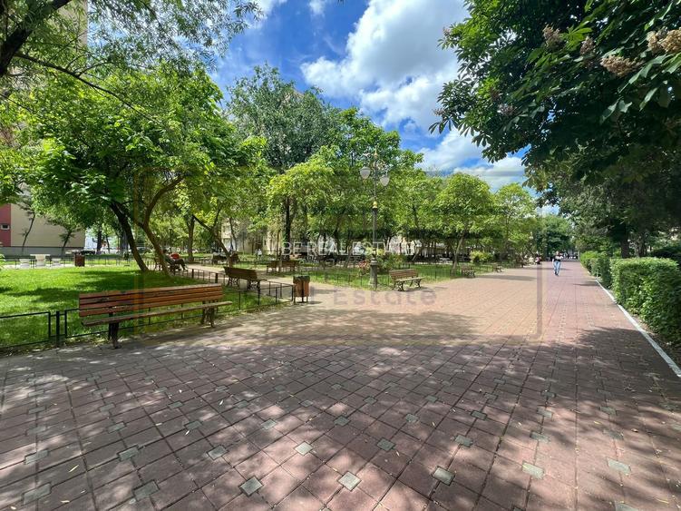 Apartament 2 camere Alexandru cel Bun- 5 min Parcul Voievozilor - 20