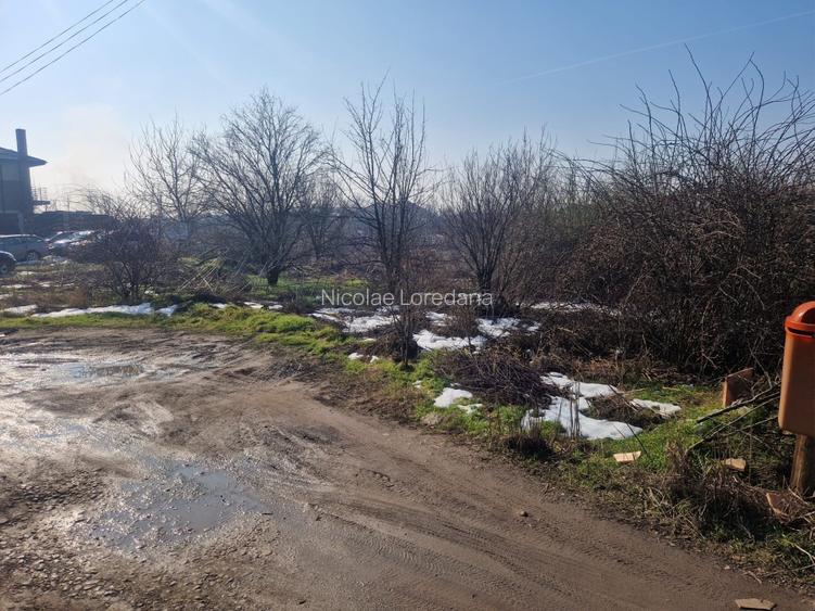 Teren intravilan de vanzare, Jilava, Strada Garii - 3