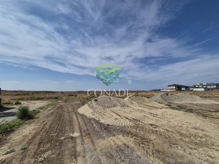 Teren -  Voluntari - zona Matei Millo - 5.607 mp - 2