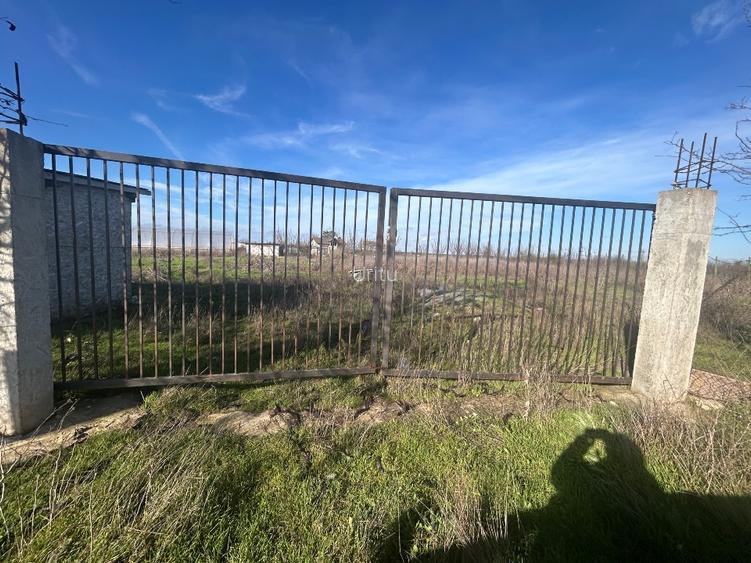 Teren extravilan 5000 mp - 10