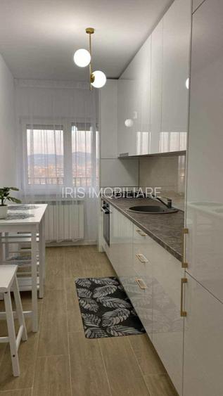 Apartament 1 cam, Tatarasi -Evergreen - 8