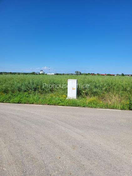 Oportunitate Unică! Teren de Vânzare aproape de Pădure – Ciolpani Izvorani - 6