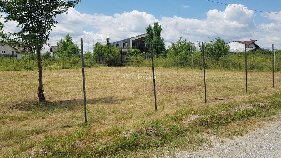 Teren intravilan de vânzare, Mogoșoaia Str. Garoafelor, 1.365 mp, Deschidere 39m - 4