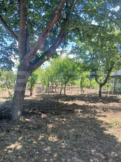 Casa de vanzare 800 mp curte, 32 mp utili, Bratovoesti  - 2