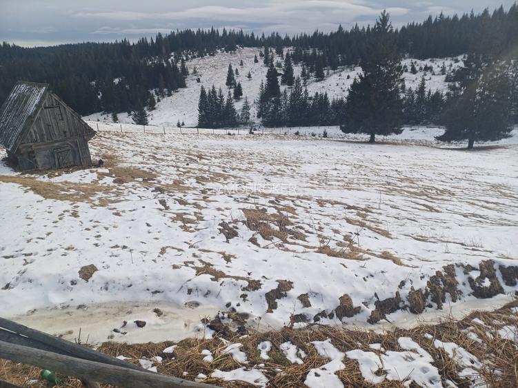 Vand teren intravilan muntele rece - 5