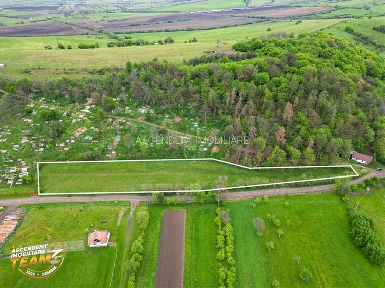 6.500 mp teren intravilan, la 10 min de orasul Covasna: Papauti - 6