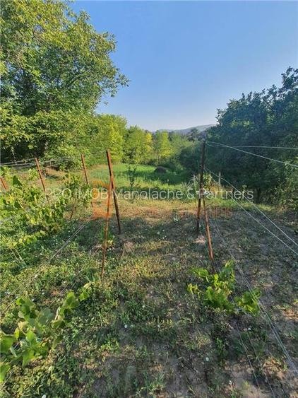 Exclusivitate! Teren intravilan zona Beceni - 5