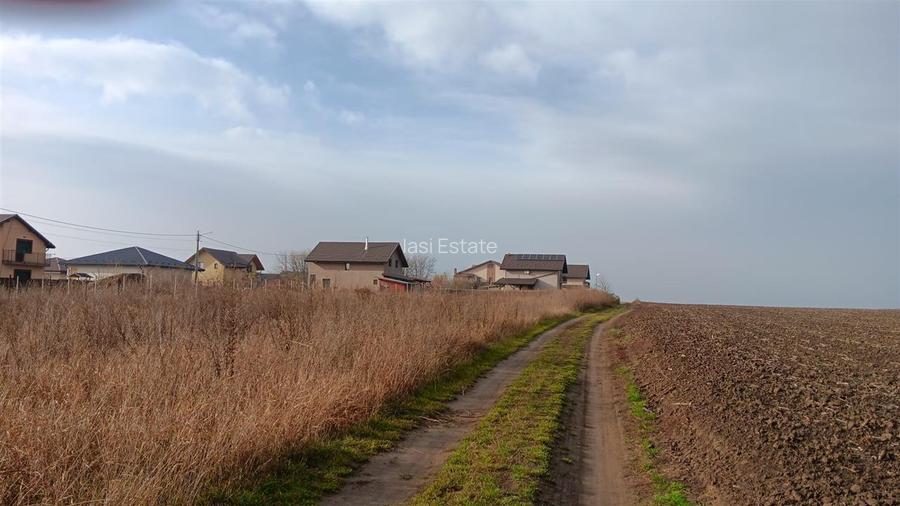 Aroneanu str Viisoarei TEREN 2 loturi x 650 mp. Intravilan cu utilitati zona con - 5