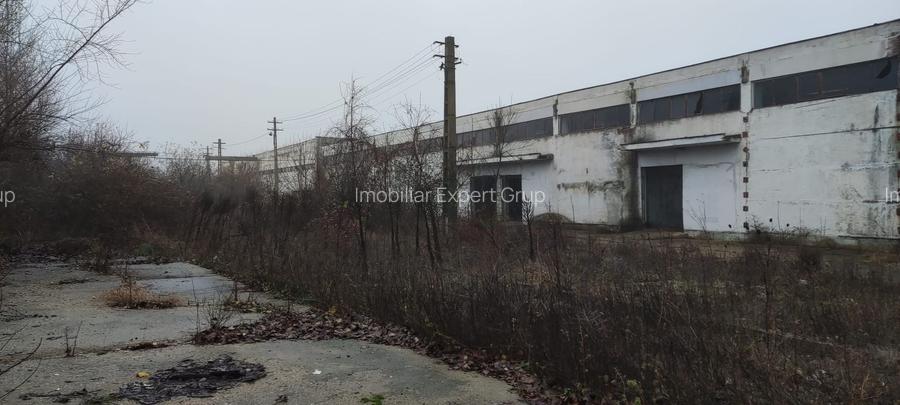 Hala ideal productie Oltenita - 5