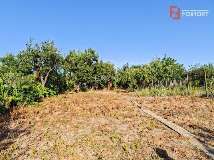 COMISION 0% - Casa individuala 5 camere cu teren 1348 mp - Giarmata - 33