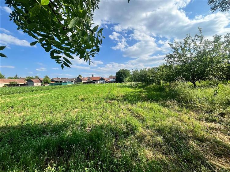 TEREN INTRAVILAN, 1200 mp, HARMAN, COMISION 0% - 5