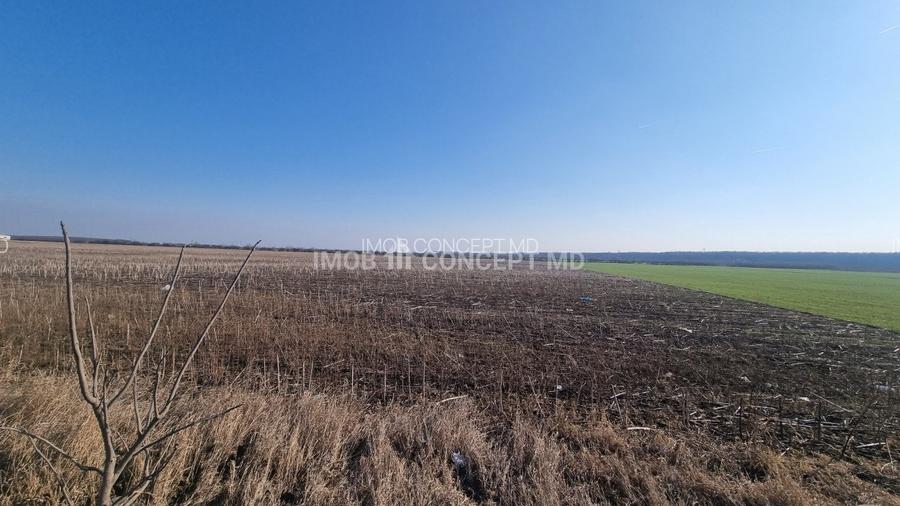 Vanzare Teren Extravilan 11000 mp, in Aricestii Rahtivani, Jud Prahova - 3