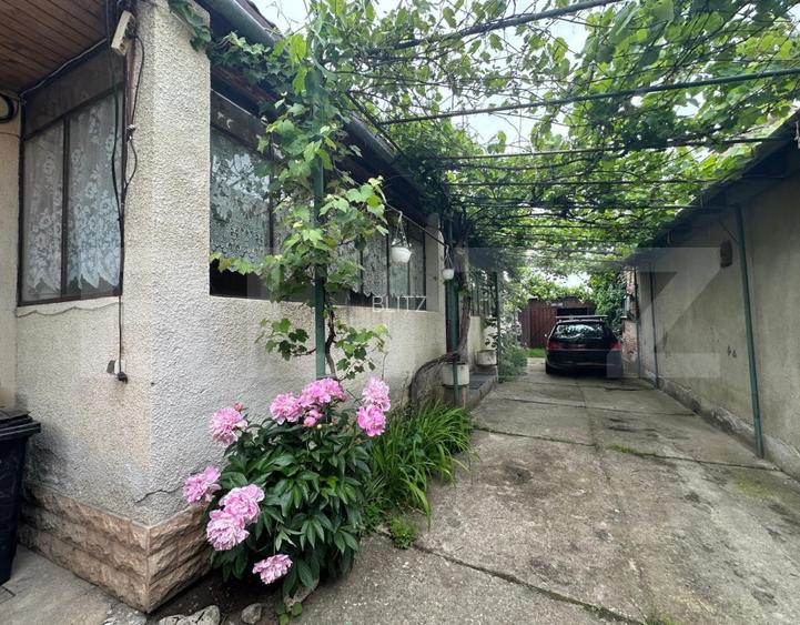 Casa individuala, curte si gradina, Harman - 2