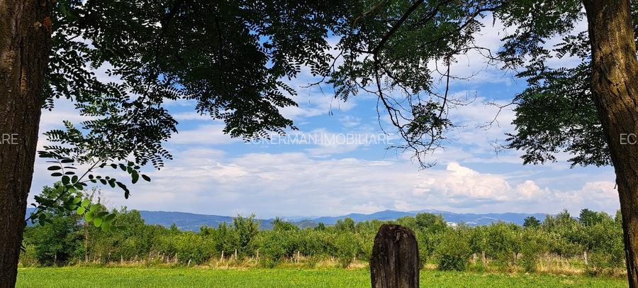 Bughea de Jos-Imparatia Mlacilor, teren de vanzare, 3000 mp, 27 ml deschidere - 9