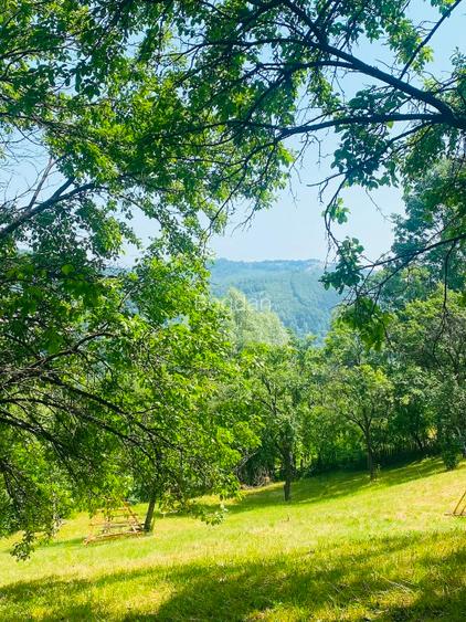 Teren superb Valea Doftanei (Teșila) – vedere panoramică, toate utilitățile - 4