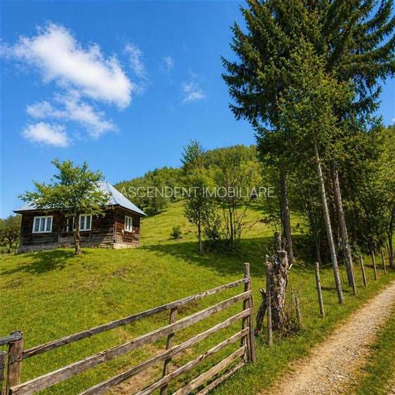 Teren la poalele padurii,Buzaiel,Vama Buzaului,DJ,constructie +utilitati,Brasov - 2