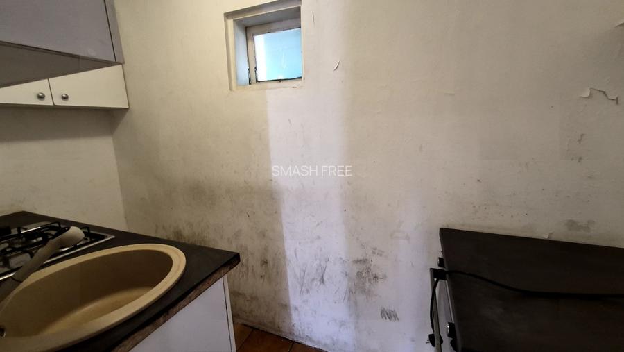 Casa Parter 43,40 mp + bucatarie anexa 13,40 mp - Parcul Carol - 14