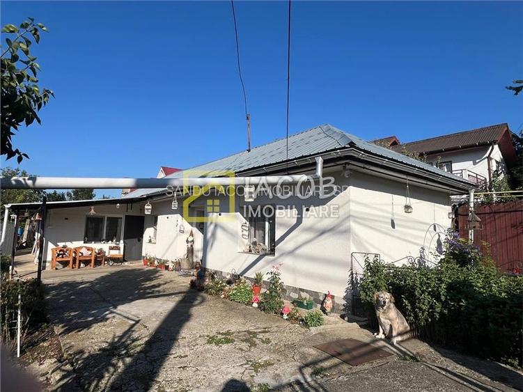 Teren intravilan 1010 mp cu casa batraneasca, magazie, beci, strada Bucegi, Baca - 12