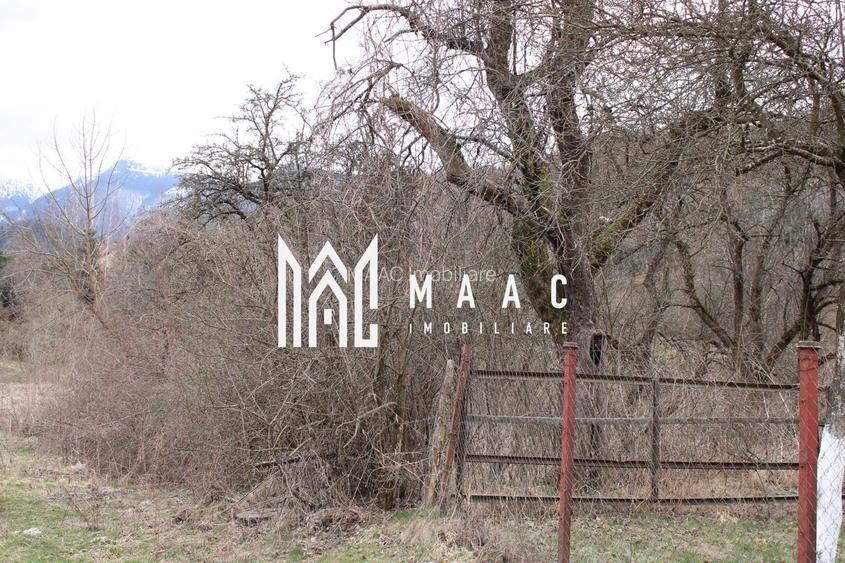 Pământ I Fereastră către Eternitate în  Transilvania - 21