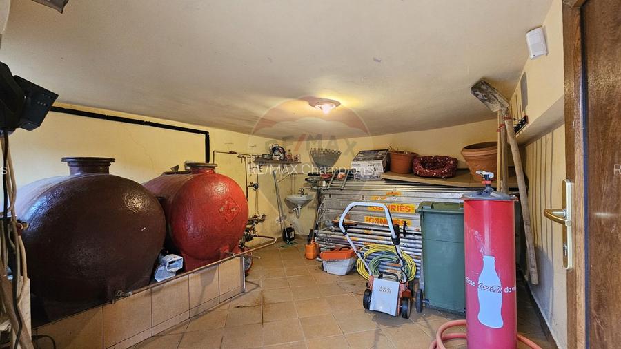 Casă de vânzare Bran Sohodol teren  intravilan 4.831 mp două locuințe - 30