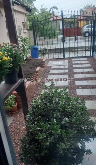 2 case + spațiu comercial | 6 dormitoare - băi proprii | 685 MP Teren - 17