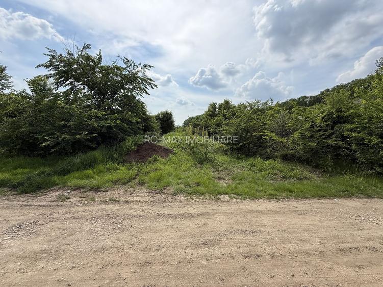 Teren intravilan 498,02 mp langa pădure , strada privata Corbeanca - 2