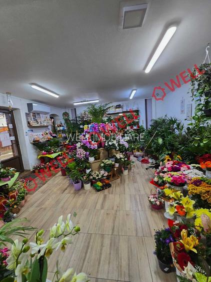 De vânzare spațiu comercial in centrul orasului Baraolt - 7