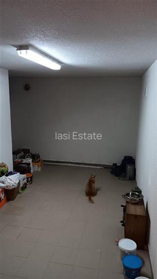 Barnova intersectia cu Pietrarie VILA D+P+M SU=212mp TEREN 1670mp amenajat super - 19