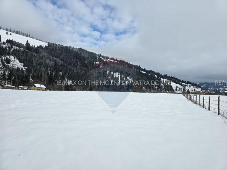 Vanzare Teren 13.650 mp , Suceava / com.Dorna Arini - 2