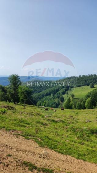 Teren 130000 mp extravilan, faneata si padure, Munteni - Bulz, Negreni - 16