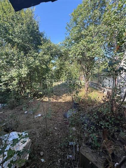 RECO . Casa in Saliste de Vascau . - 10