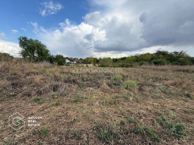 Teren intravilan 538 mp, curti constructii, Sacalaz, Tims - 3