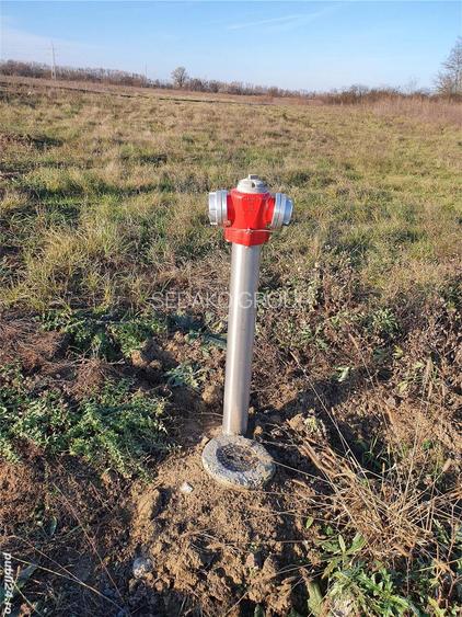 Teren de vanzare, Ghiroda, zona padurii Bistra - 4