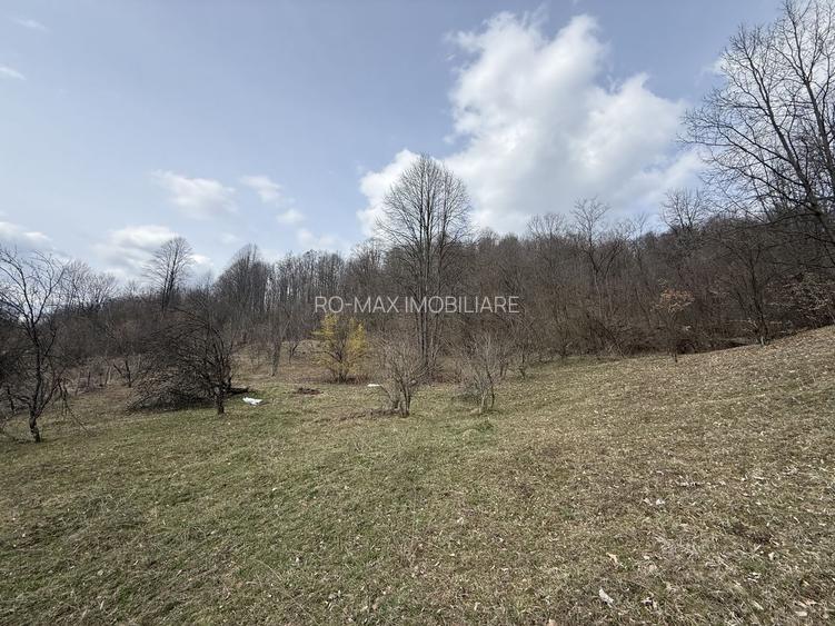 Teren 6040 mp la baza pădurii deschidere 40 ml - 3