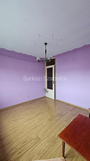 Apartament in bloc reabilitat, 2 camere, et 4, Zona 300, Micalaca,Arad - 15