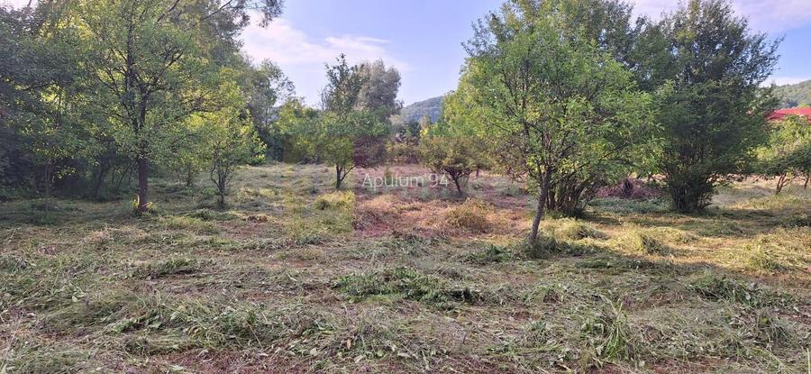 Vila de vanzare cu 6 camere si teren de 5116 mp in Cornu, Prahova - 49