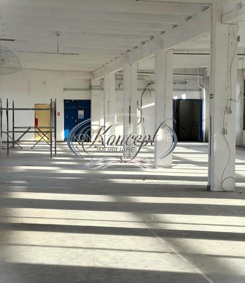 Hala depozitare/productie in Piata 1 Mai - 5