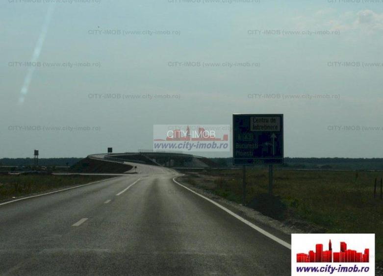 Vanzare Teren - intravilan - Snagov - 6